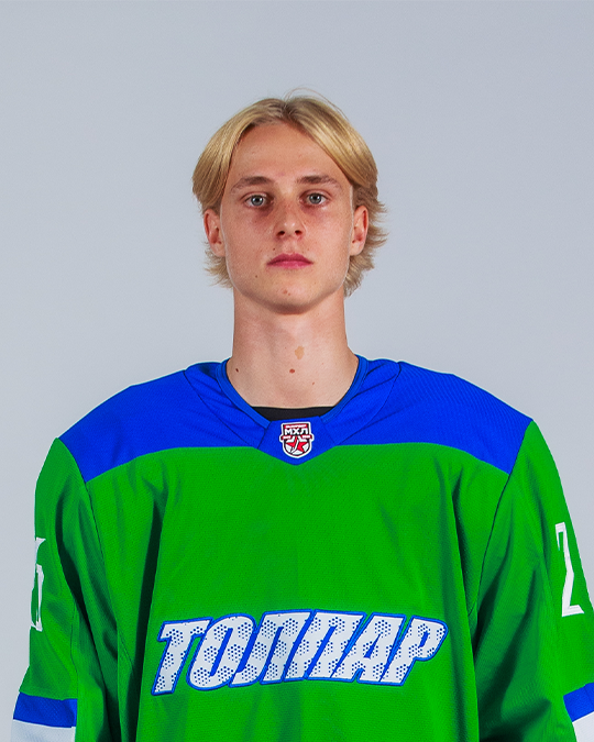 Михаил Дегтярёв