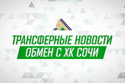 «Салават Юлаев» обменял Бабенко в «Сочи» на Федотова